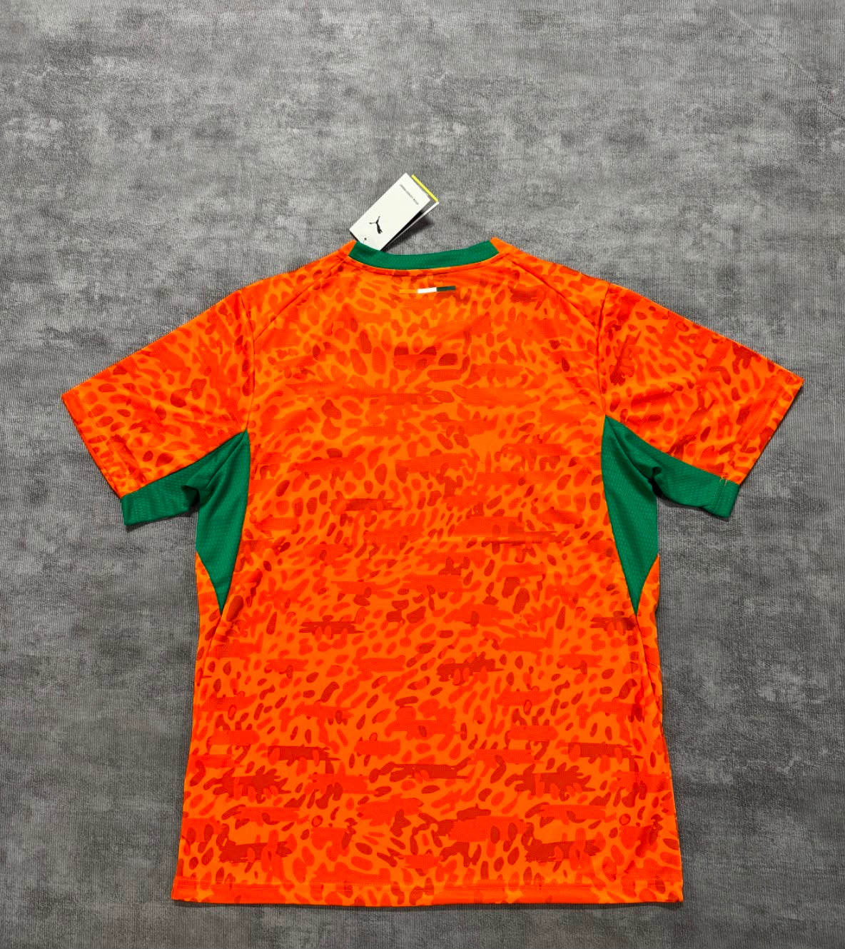 Maillot domicile Côte d'Ivoire 2026 orange et vert - dos